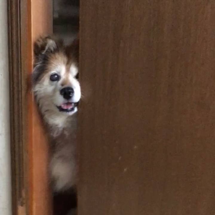 F9eab2b4 4cd0 4070 976c 9274d2229f0b 1617842653075