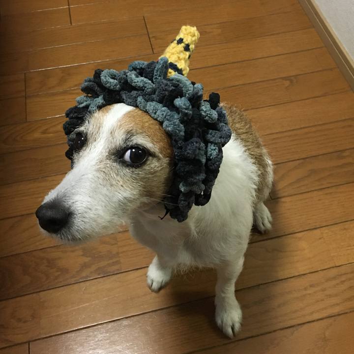 F9eac384 b6b1 4876 b7f9 11ca77be81dd 1612222041265