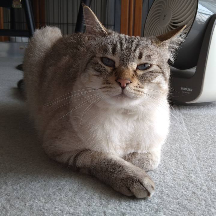 F9eaceef 7ae0 41fb 999f 43814292ea70 1623126614857