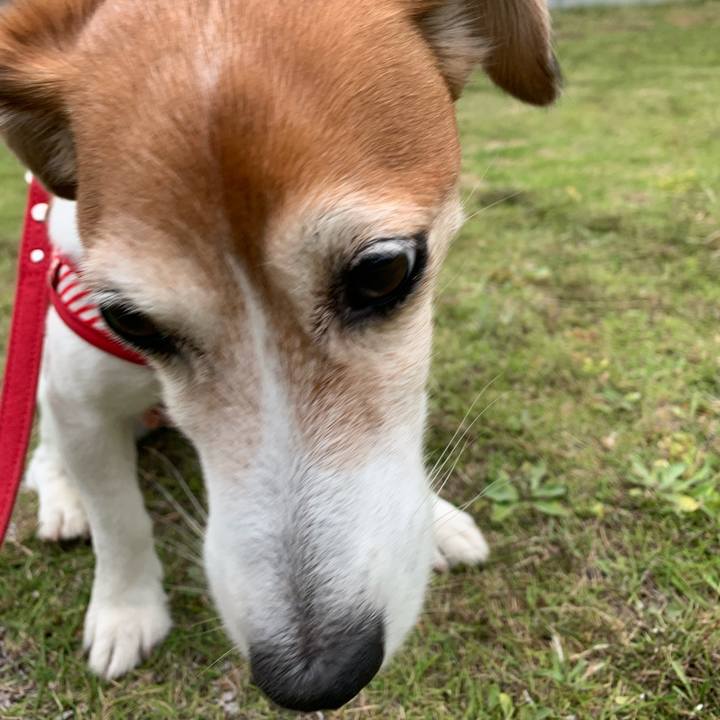 F9eafb22 b9d2 4a98 acf3 99d95076fb32 1561564304137