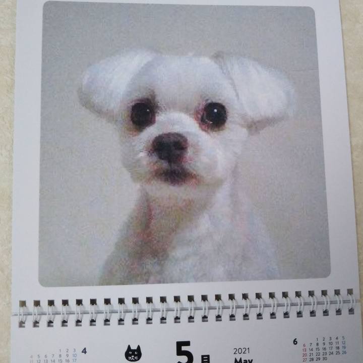 F9eb1a2e 3247 4a60 9278 203134298c22 1619831987714