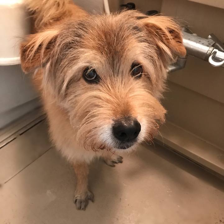 F9eb2c01 18b5 4597 b9fb 6d8ccc039f48 1613094993950