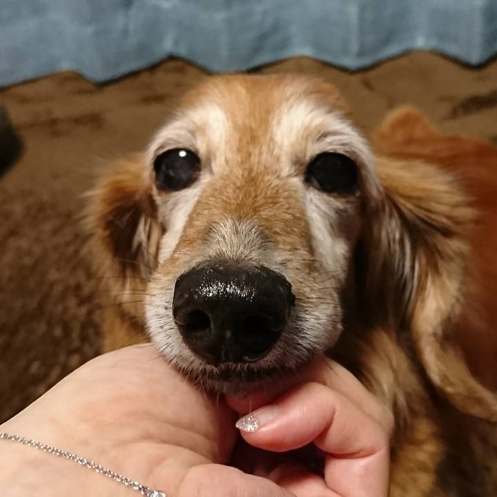 F9eb6e12 6b13 49d5 841b 65b5c73aa47c 1511405950683