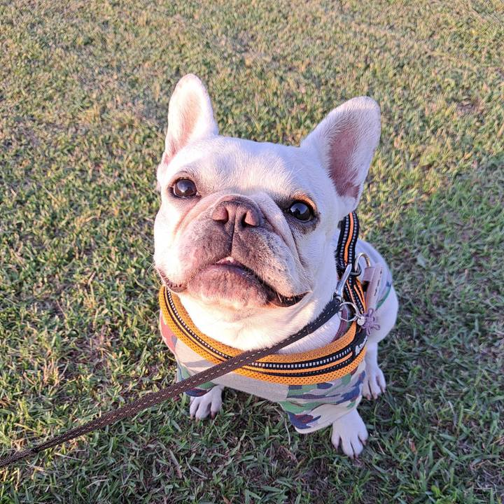 F9eb93e8 2d1d 424b a2d7 07054c60ee2d 1715343600272