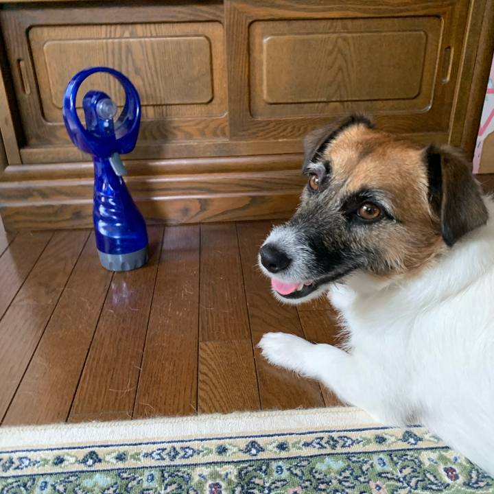 F9eba38d 9141 4fee b573 8d7aadbbb266 1595148378885