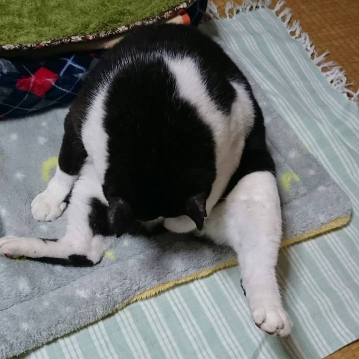 F9ebacfc 68c5 46dd a26e b320c1f50a15 1509171189495