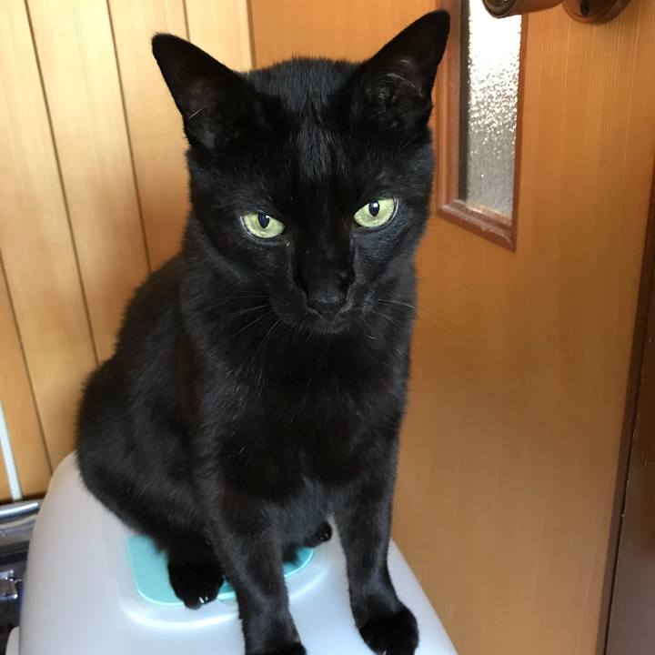 F9ebbcc3 1773 4f10 a789 9e88fe9c856d 1528160749697