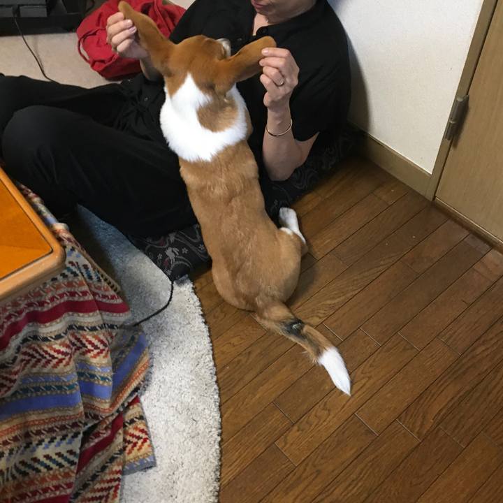 F9ebd514 2114 4517 8914 1a38ffe453d0 1594061944673