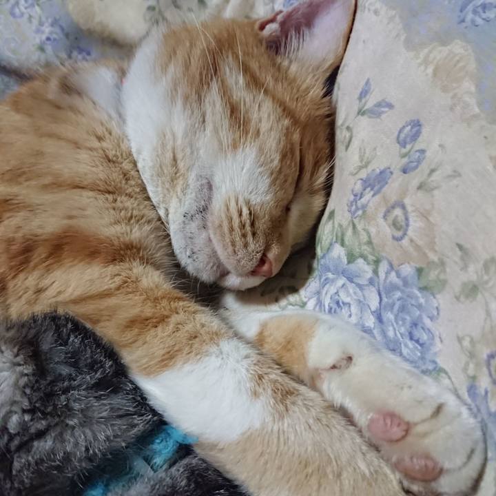 F9ec1ae6 b2f9 47c4 94d0 925be72ee8cb 1576500724647