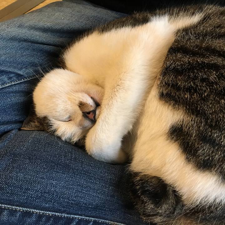 F9ec267c f3ec 4182 8106 72d3328f8677 1523103555075