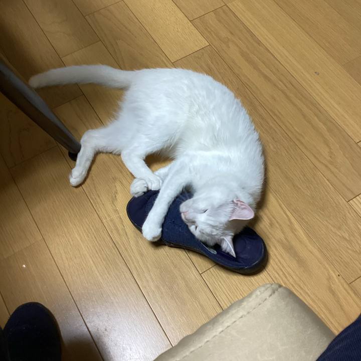 F9ec2c37 81ea 42a1 aba6 9230c79b86c4 1654475709836