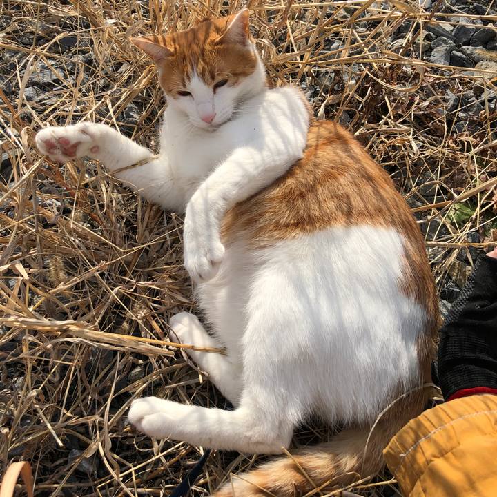 F9ec89b2 1f9e 456f a4ca 11dc1c6b4327 1549194435450