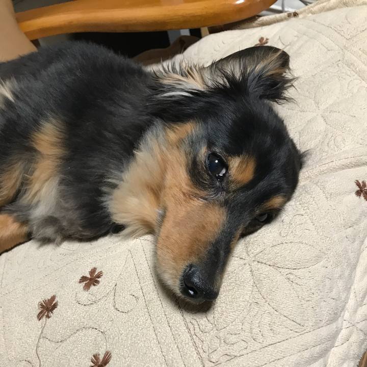 F9ec8dab d7ca 4c93 820a df350f482143 1523310716153