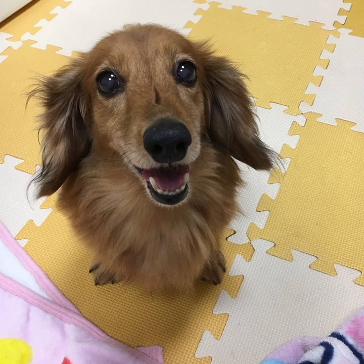 F9eca347 2054 4aaa ad4d ca96c5d39a08 1567087465890