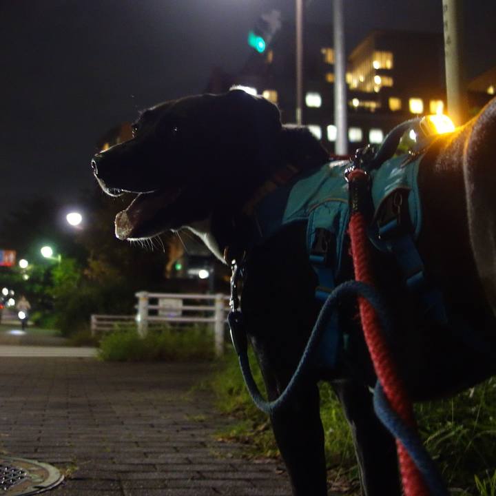 F9ecb36b 4637 4ac0 af9e 64694a9f2697 1630926938255