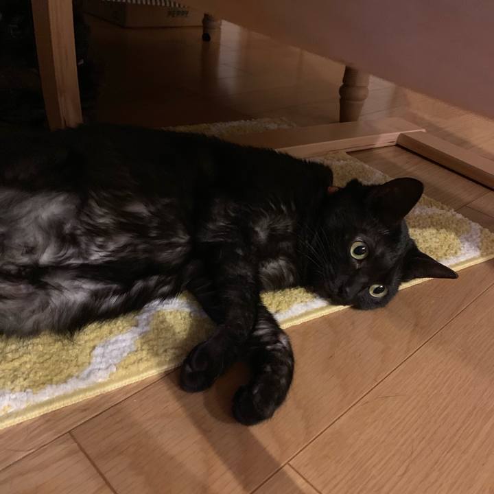 F9ecb88e 3bfb 4d91 85bc 925ce90d99bd 1548255932109