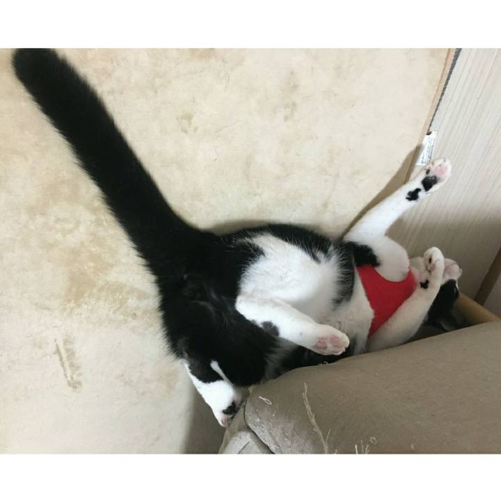 F9eccaa8 ad13 4f6e 8bfe 0d80337bc76e 1544967935255