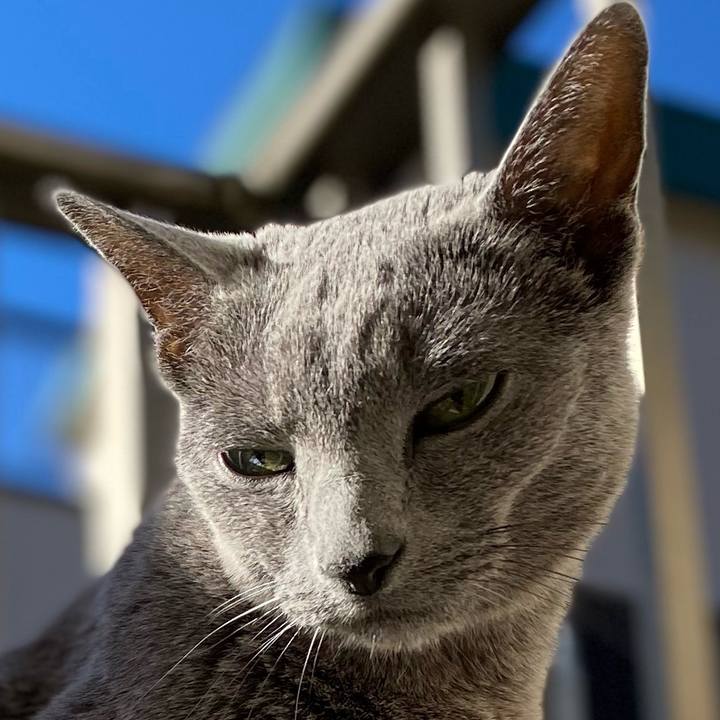 F9ecffd5 b17e 42e0 a954 b49342198abb 1606525363182