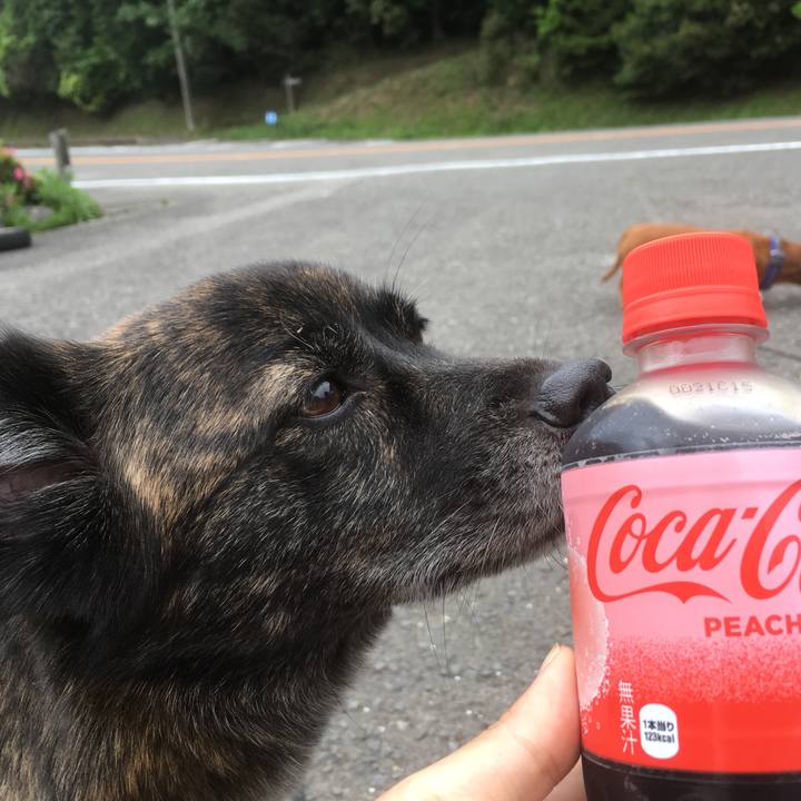 F9ed2a86 29d4 4a9f 8376 280f1a48fc97 1528592860907