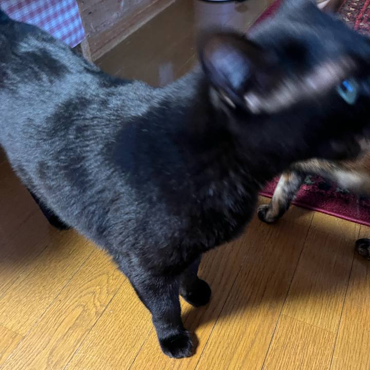 F9ed7493 3ad5 4651 8c07 776ba86090e7 1659564630129