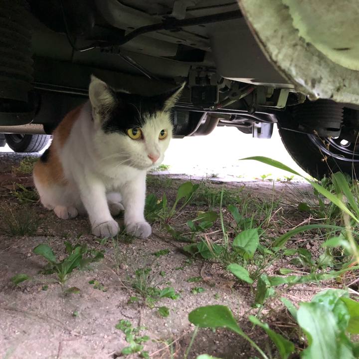 F9edd156 0042 4b07 90c8 3af8f531f916 1598998915291