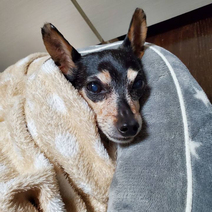 F9ee176f 33ef 4a83 ac75 7f91edc6540e 1674816230872