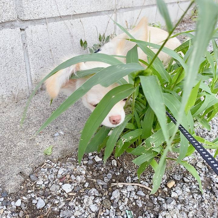 F9ee19d2 5de2 4e1b 9d69 1726b52118b7 1594269754981