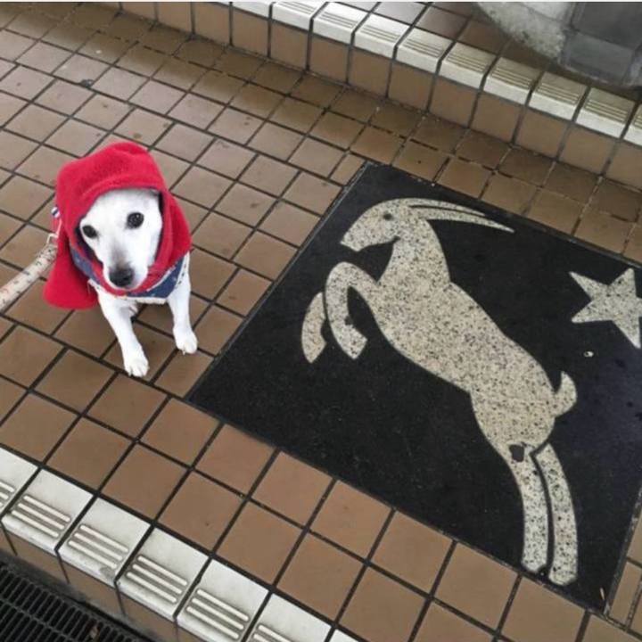 F9ee5b48 4fac 448a bc80 8e5f7cf44626 1772578963501