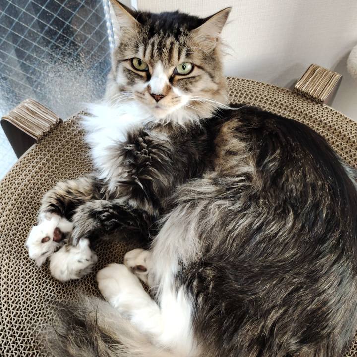 F9ee7761 c601 47a5 9c72 1de44e322a5c 1758182012387