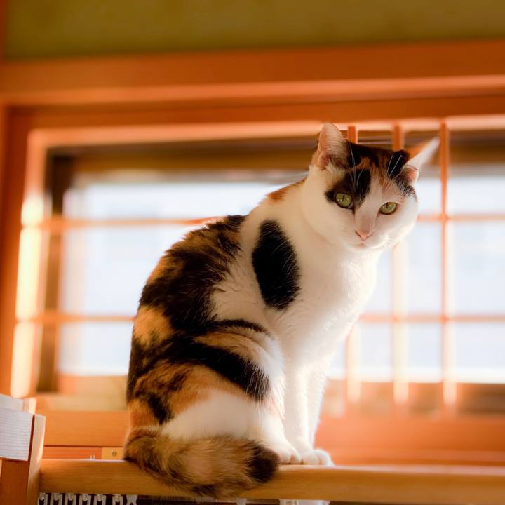 F9ee79ef 9124 4970 b4c8 8a8b94fc54fe 1591320477871