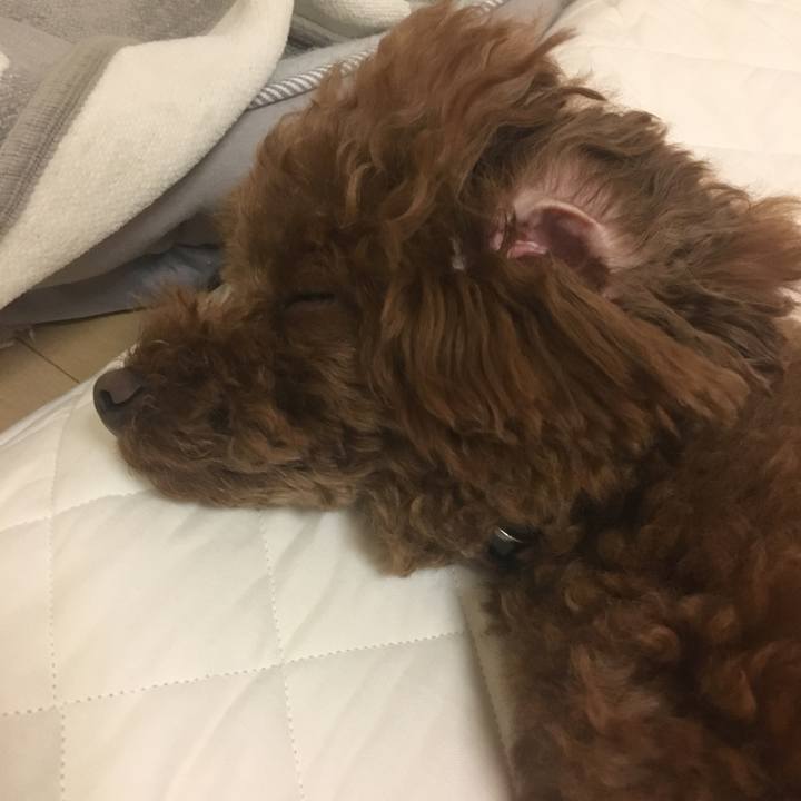 F9eea188 48f7 42cd 85ee 2a3e9dcfcb4b 1527078543159