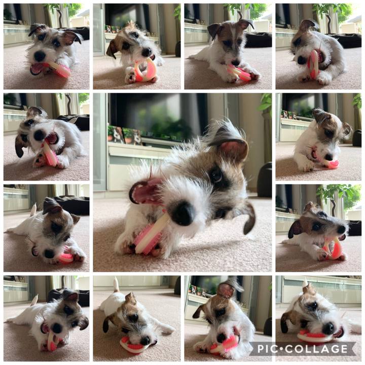 F9eead7f 71fe 4cfa 8091 de1480dbd277 1564574298494