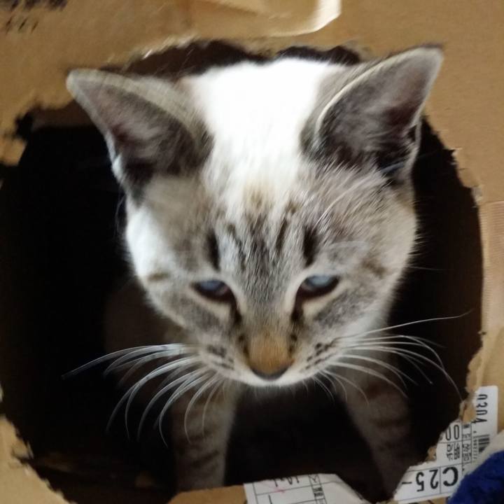 F9eeb6e4 5ec5 4f2d bd5c 08f4c4ba9234 1531054182046