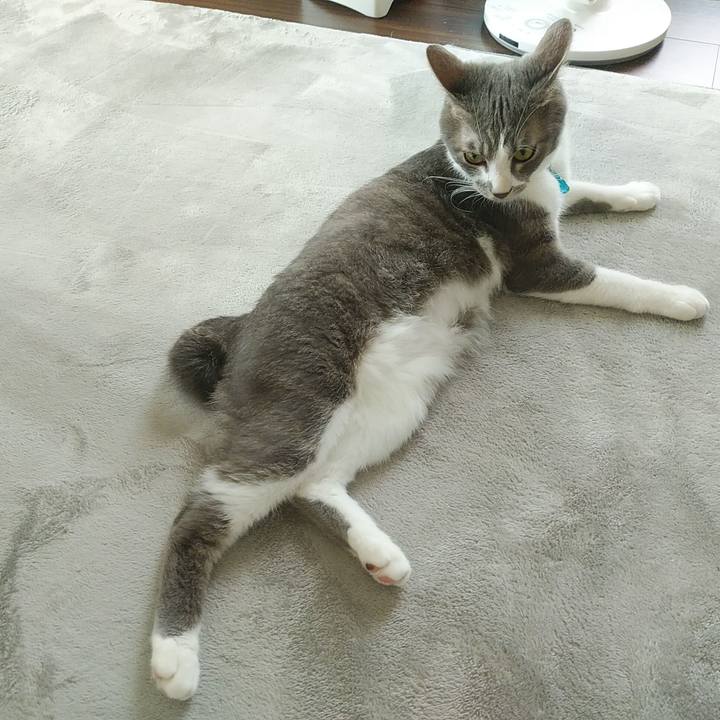 F9eecc66 df79 4c67 ad9d 0dac1d1fdde5 1591571638316