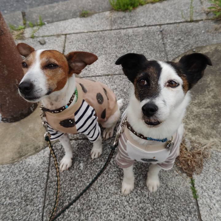 F9ef0ead fa1a 4cce bcf0 c0c5e2583ef2 1745100389492