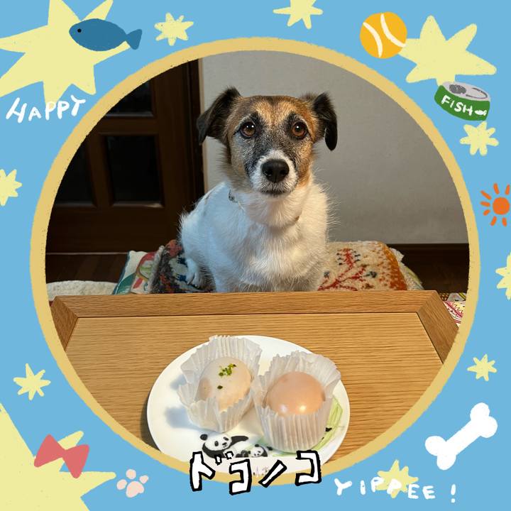 F9ef832d d342 4fe1 9678 06e2719f2cf5 1720776470699