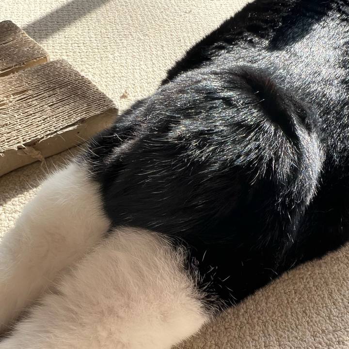 F9ef9601 1aa0 458f 84b9 694ddb3b6200 1763336952297