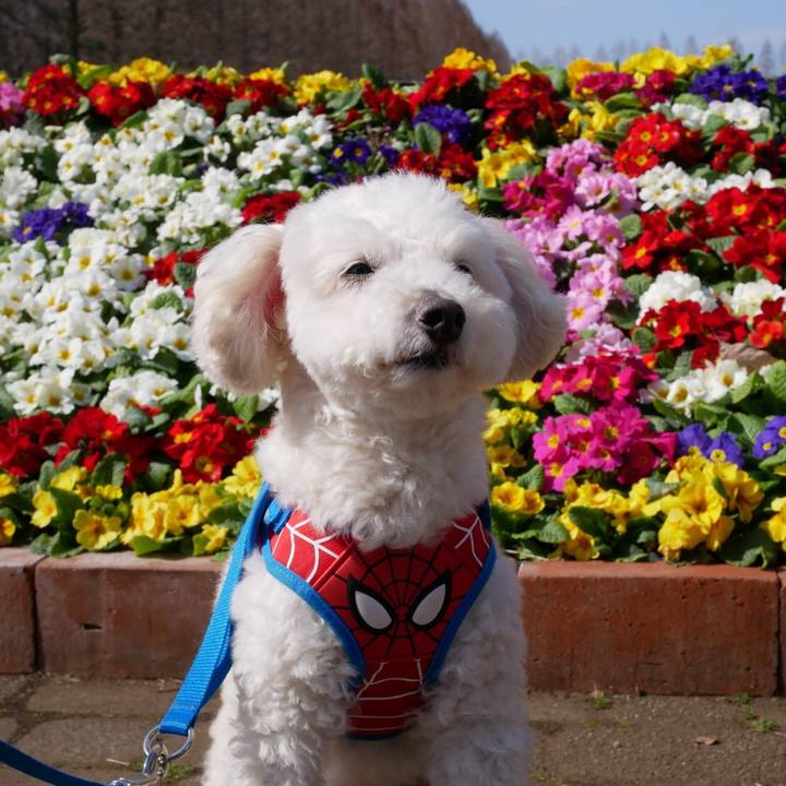 F9efbd49 5479 4bf3 b8c0 abf261650f1a 1521303377069