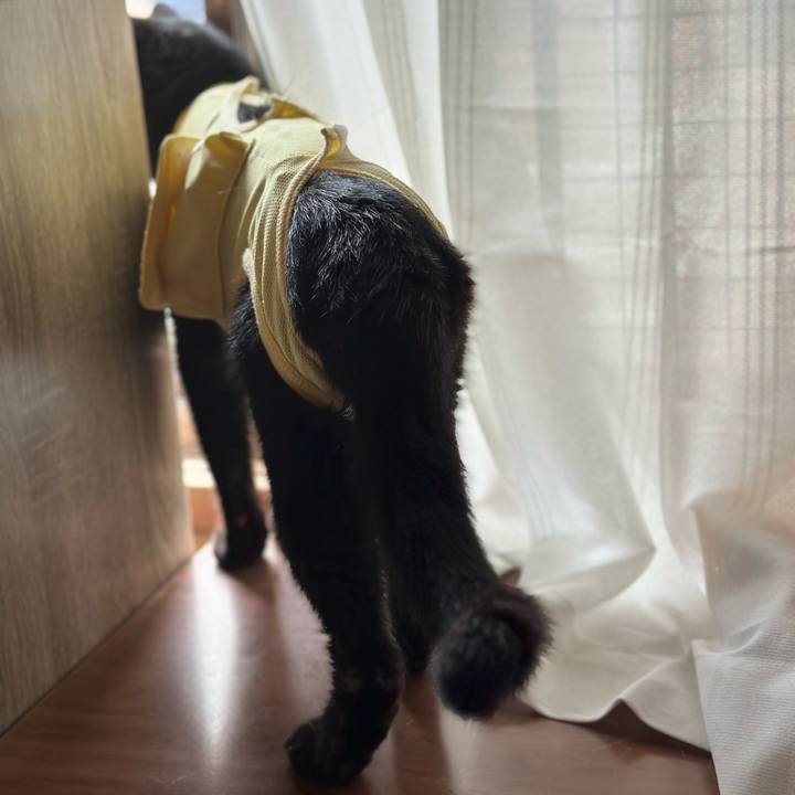 F9efe297 f96c 4879 96d8 da7eb7e32615 1722208470063