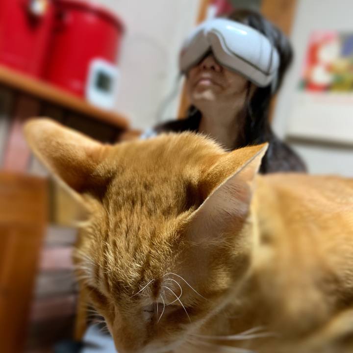 F9efe374 9e47 4888 9d40 855972431038 1608813894811