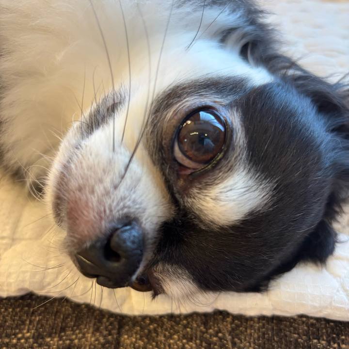 F9eff17a 5053 4518 8404 fbe003fed08b 1753114974416