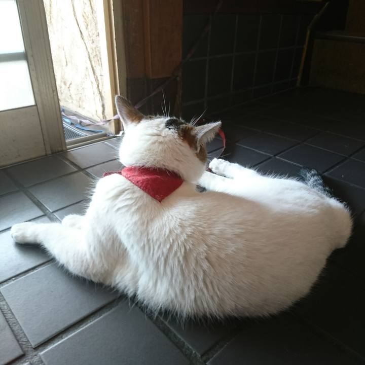 F9eff85c decf 4c5c ada3 bb4774a965fd 1531624905285