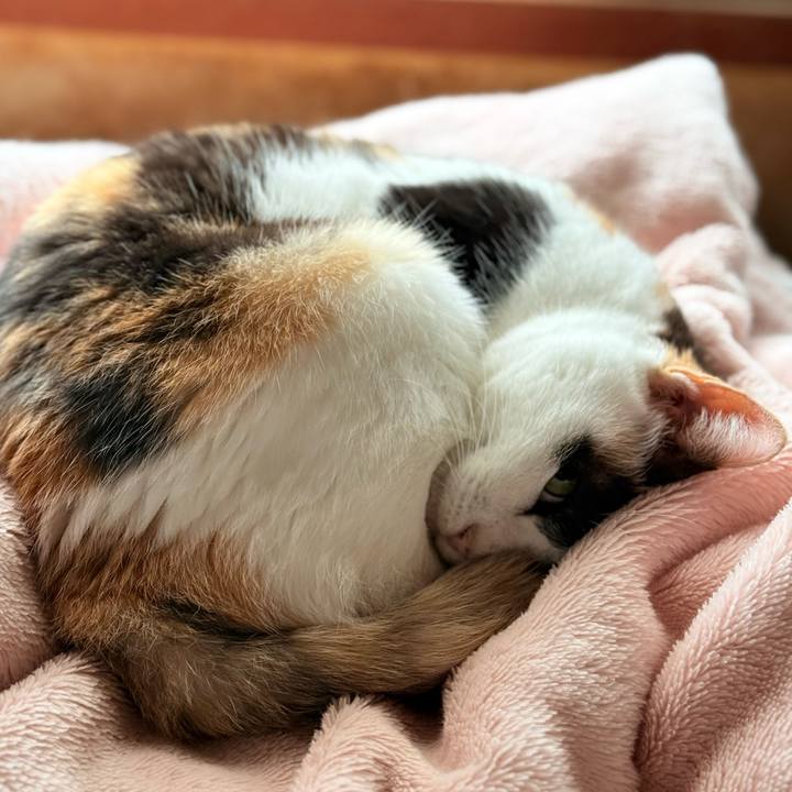 F9f003c5 b499 46fd a64d 05b145c04982 1764727172759