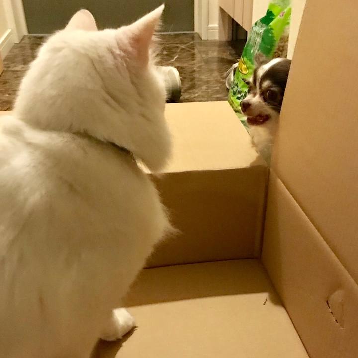 F9f033c2 0ce9 445f 908e f423587bc108 1542109747517