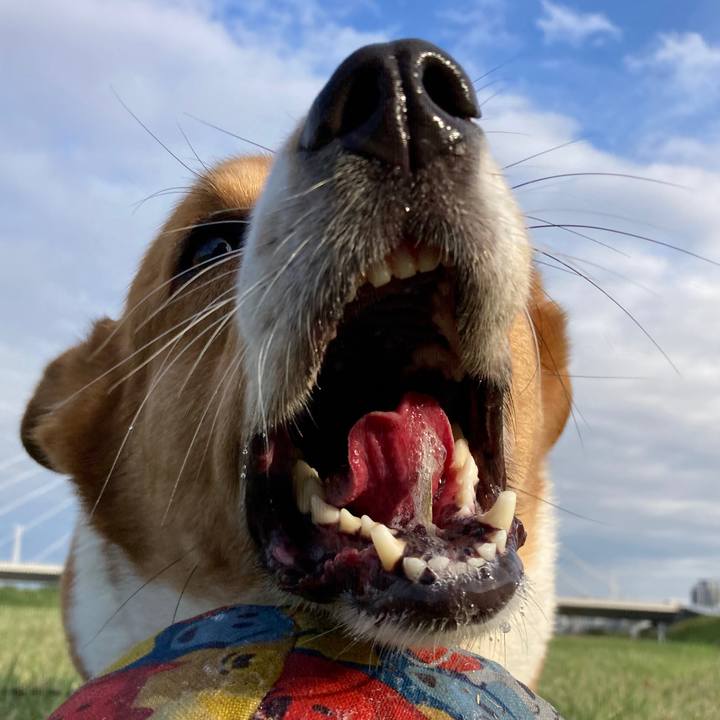 F9f0387a ee0b 4e03 9a92 6bda091806f1 1729908194520