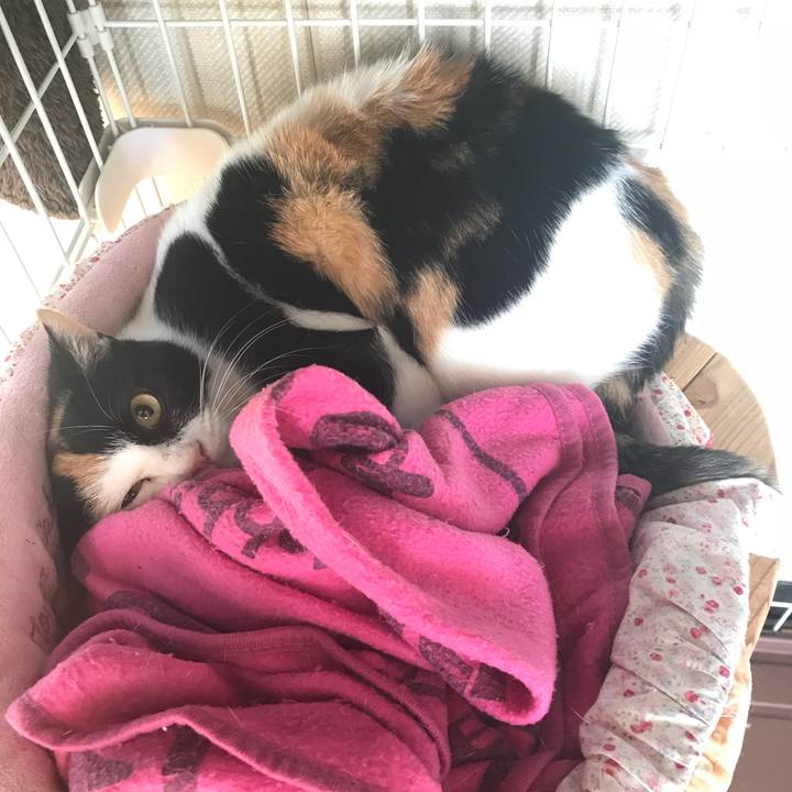 F9f04951 3645 4392 813d 7e78fd3665a8 1512175335937