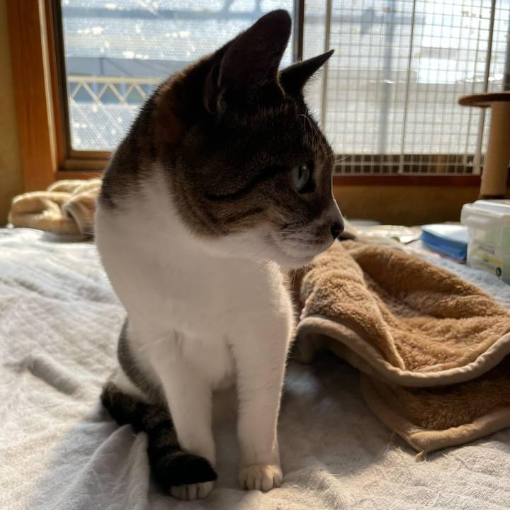 F9f06345 b351 418d 9d69 ebcfd07823f7 1651629903351