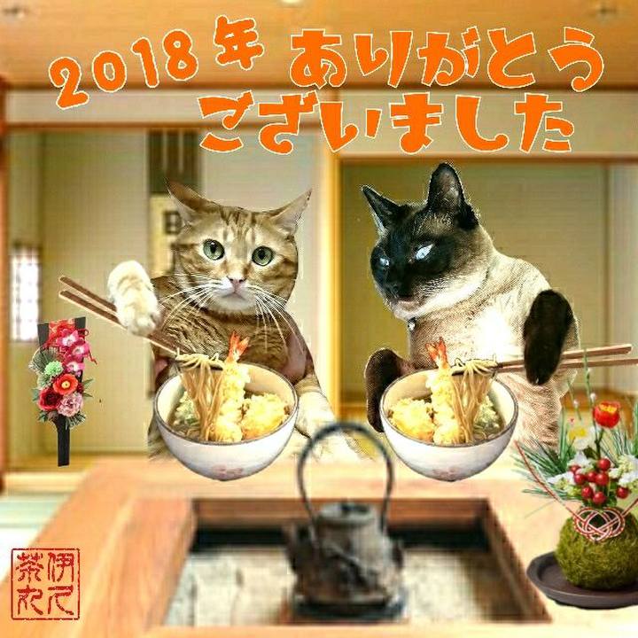 F9f0bd24 0bba 4794 baaf d2bb4dd9afec 1546256906041