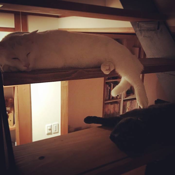 F9f0e7cd 9b0a 46ac b1c6 f4065bf17e80 1520355211070