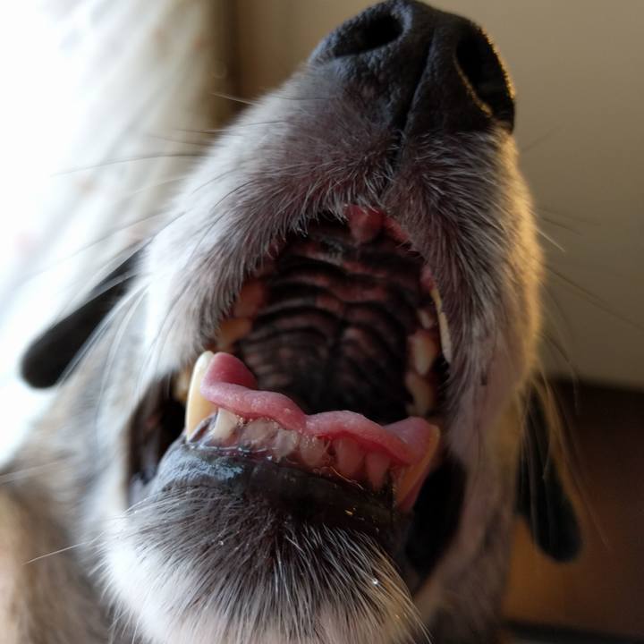 F9f120fc eb7e 4195 9c87 2adfd3771587 1555809727307